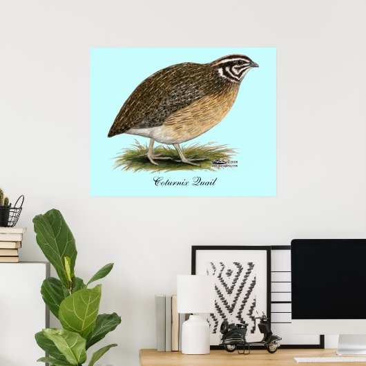 Coturnix Pharaoh Quail Poster (Thuiskantoor)