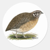 Coturnix Pharaoh Quail Ronde Sticker (Voorkant)