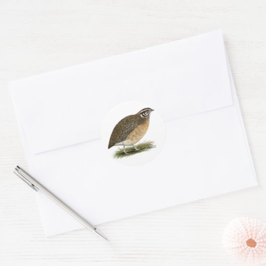 Coturnix Pharaoh Quail Ronde Sticker (Envelop)
