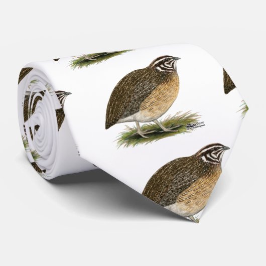 Coturnix Pharaoh Quail Stropdas (Opgerold)