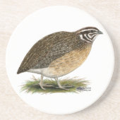 Coturnix Pharaoh Quail Zandsteen Onderzetter (Voorkant)