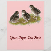 Coturnix Quail Chicken Flyer (Voorkant)