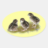 Coturnix Quail Chicken Ovale Sticker (Voorkant)