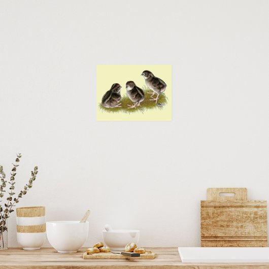 Coturnix Quail Chicken Poster (Keuken)