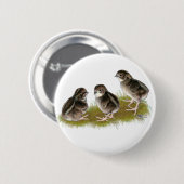 Coturnix Quail Chicken Ronde Button 5,7 Cm (Voorkant /achterkant)