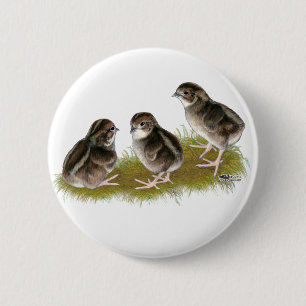 Coturnix Quail Chicken Ronde Button 5,7 Cm