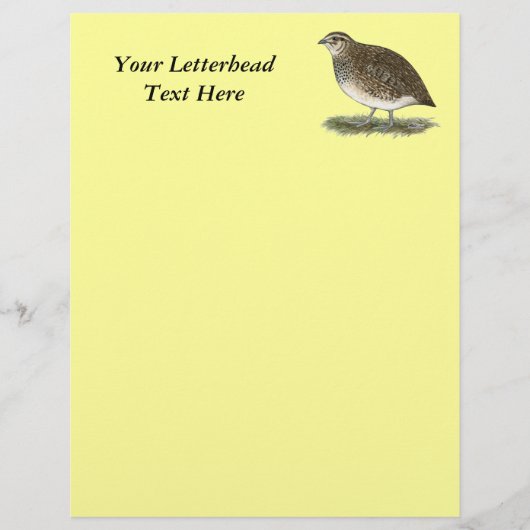 Coturnix Quail Hen (Voorkant)