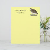 Coturnix Quail Hen (Staand voorkant)