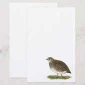 Coturnix Quail Hen Briefpapier (Voorkant / Achterkant)