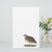 Coturnix Quail Hen Briefpapier (Staand voorkant)