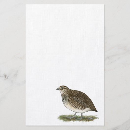 Coturnix Quail Hen Briefpapier (Voorkant)