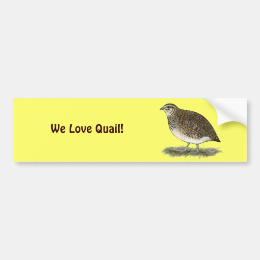 Coturnix Quail Hen Bumpersticker (Voorkant)