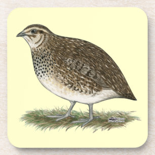 Coturnix Quail Hen Drankjes Onderzetter