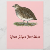 Coturnix Quail Hen Flyer (Voorkant)