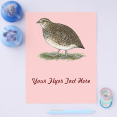 Coturnix Quail Hen Flyer (Enkel)