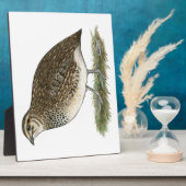 Coturnix Quail Hen Fotoplaat (Zijkant)