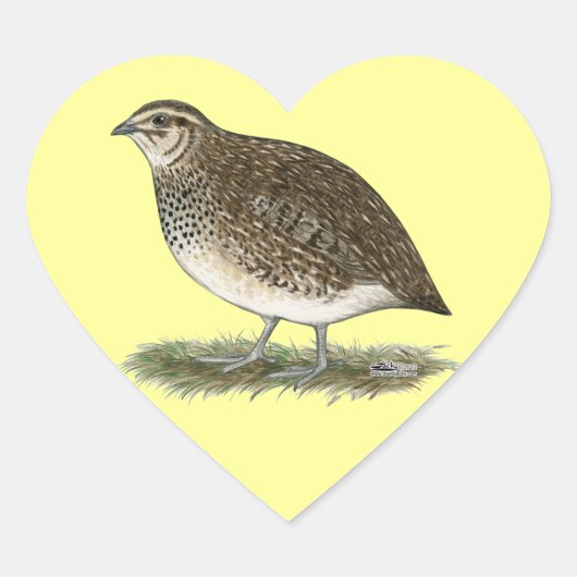 Coturnix Quail Hen Hart Sticker (Voorkant)