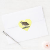 Coturnix Quail Hen Hart Sticker (Envelop)