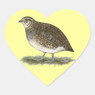 Coturnix Quail Hen Hart Sticker