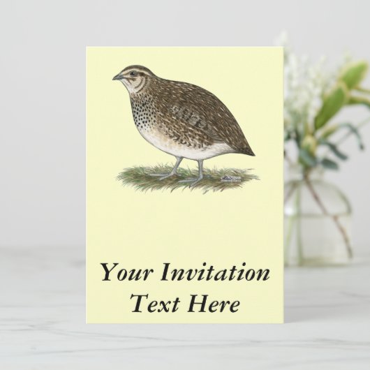 Coturnix Quail Hen Kaart (Staand voorkant)