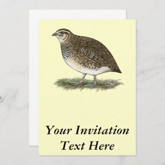 Coturnix Quail Hen Kaart (Voorkant / Achterkant)