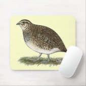 Coturnix Quail Hen Muismat (Met muis)