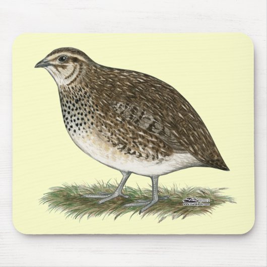 Coturnix Quail Hen Muismat (Voorkant)