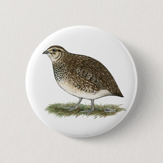 Coturnix Quail Hen Ronde Button 5,7 Cm (Voorkant)