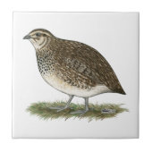 Coturnix Quail Hen Tegeltje (Voorkant)