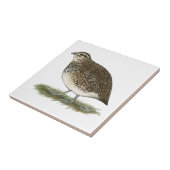 Coturnix Quail Hen Tegeltje (Zijkant)