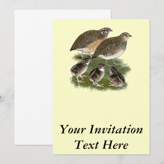 Coturnix Quail Kaart (Voorkant / Achterkant)