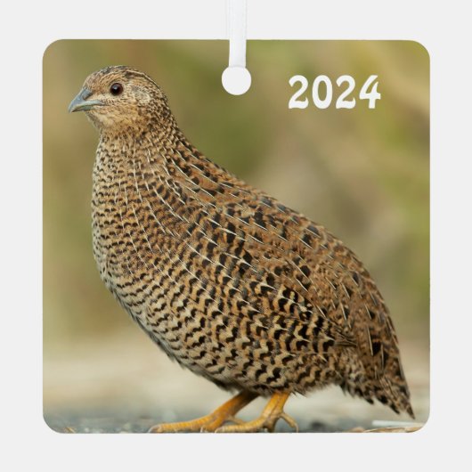 Coturnix Quail Metalen Ornament (Achterkant)
