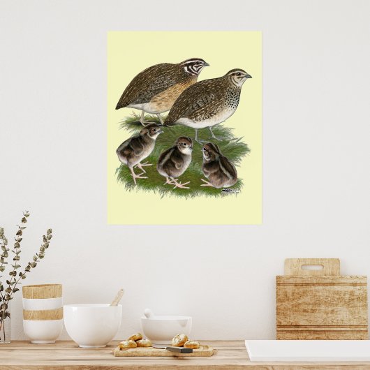 Coturnix Quail Poster (Keuken)