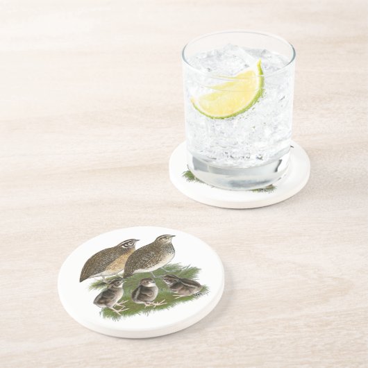 Coturnix Quail Zandsteen Onderzetter (Zijkant)