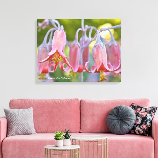 Cotyledon Bloemen van Debra Lee Baldwin Canvas Afdruk (Insitu (Woonkamer))
