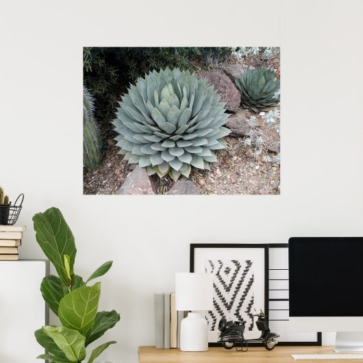 Coues' Agave ~Print~ Poster (Thuiskantoor)