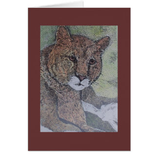 cougar