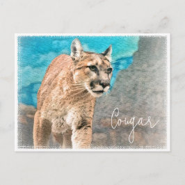 Cougar ポストカード briefkaart