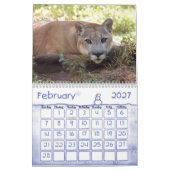 Cougar 001 Cougar Kalender (Feb 2027)