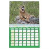 Cougar 001 Cougar Kalender (Mar 2027)