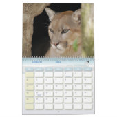 Cougar 001 Cougar Kalender (Jan 2026)