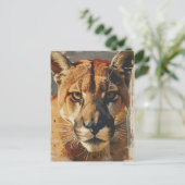 Cougar bergleeuw briefkaart (Staand voorkant)