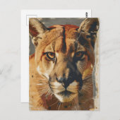 Cougar bergleeuw briefkaart (Voorkant / Achterkant)