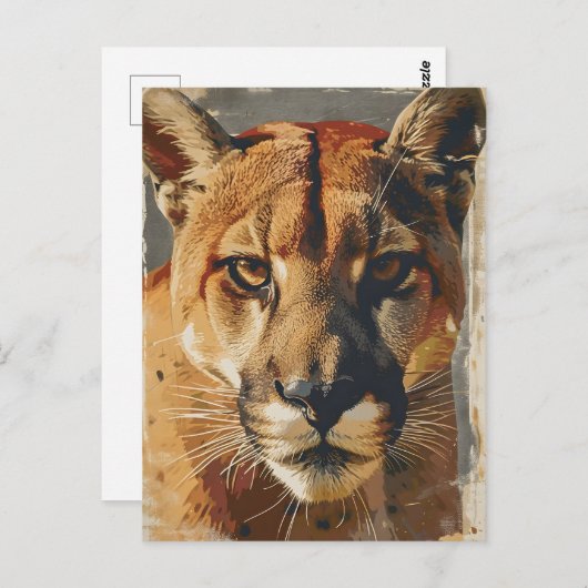 Cougar bergleeuw  briefkaart (Voorkant / Achterkant)