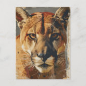 Cougar bergleeuw  briefkaart (Voorkant)