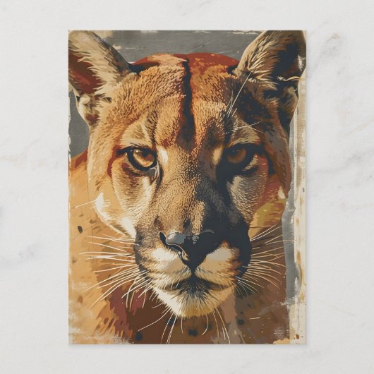 Cougar bergleeuw briefkaart (Voorkant)