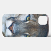 Cougar, berlion, Florida panther, Puma 2 Case-Mate iPhone Case (Achterkant (horizontaal))