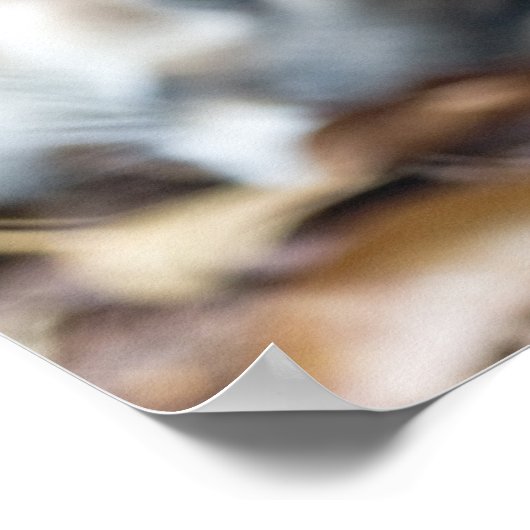 Cougar, berlion, Florida panther, Puma 2 Poster (Hoek)