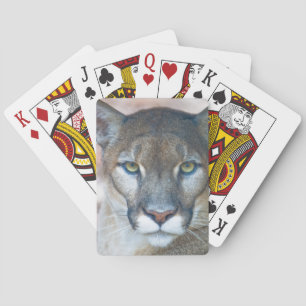 Cougar, berlion, Florida panther, Puma 2 Speelkaarten