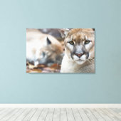 Cougar, berlion, Florida panther, Puma Canvas Afdruk (Insitu (Houten vloer))